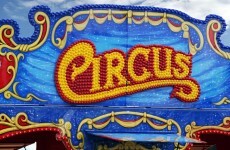 Animal rights groups welcome cut in funding for animal circuses