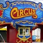 Animal rights groups welcome cut in funding for animal circuses