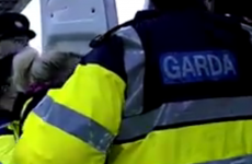 "40 gardaí and 20 protesters": Claims of heavy-handed policing denied after 8 arrests