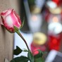 Opinion: Learning from the Paris bloodshed – the need for an intercultural Ireland