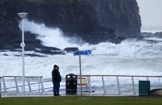 Van driver killed as strong winds bring trees down on roads