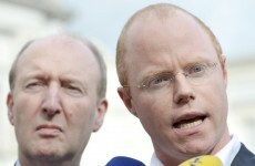 Stephen Donnelly: 'The only party I'm involved in is my kid's birthday party'