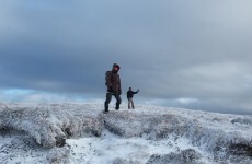 Here's What Happened Today: Sunday