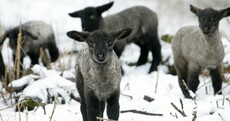 There's ANOTHER weather warning in place, this time for snow