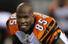 Patriots swoop for Ochocinco and Haynesworth