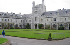 Can you guess which Irish college has been ranked second in the world for being so green?