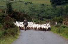 Thousands of farmers to close gate on IFA and start their own group