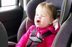 This toddler lip-syncing to Taylor Swift in the car is wonderful and hilarious