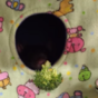 Woman offers rat broccoli, rat basically throws it back in her face