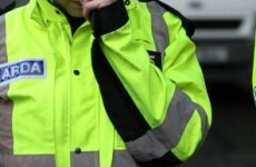 Garda vetting of 36,000 teachers will wait until after new laws are brought in