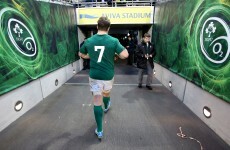 O'Brien and Fitzgerald return as Schmidt names 46-man Six Nations squad