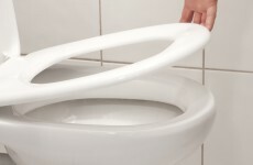 This court says German men can pee standing up if they want to