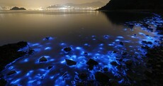 The Week in Photos: Light Up