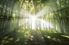 Scientists in Scotland managed to SLOW DOWN the speed of light