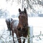 Enjoy the mildness... Plunging temperatures to bring snow by Wednesday