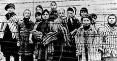 'We were woken by these piercing screams': Survivors remember the horror of Auschwitz