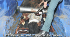 Europe or Die: Why so many migrants risk their lives to come here