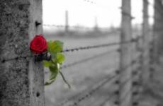 'I think about the different family I might have had – if only she had been given sanctuary'
