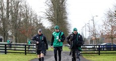 In pictures: Ireland's Six Nations hopefuls step up preparations at Carton House