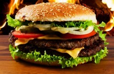 Irish Five Guys burger franchise shows 'the worm is turning'