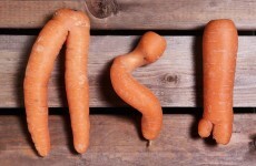 Would you eat a wonky carrot?