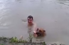 Dog thinks owner is drowning, jumps in to save the day