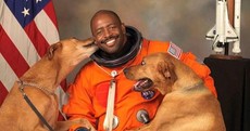 This astronaut's amazing NASA portrait just needs to be seen