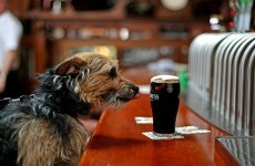 Guinness, Visa debit cards, and Michelle Mulherin: The week in numbers