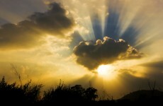 Column: Feast, love, enjoy – and welcome the Irish spring!