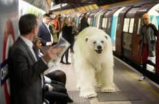 Fortitude looks like the next big TV hit... here's why