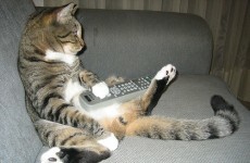 Lonely people are more likely to binge watch TV, study says