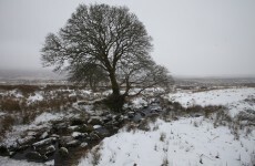 Poll: Do you like snow?