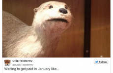 The 8 emotions of the first payday after Christmas