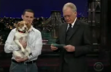 This dog has the best 'play dead' trick you'll see today