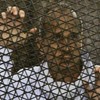 Australian journalist Peter Greste released from Cairo prison