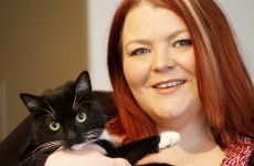 This woman wants your help so she can open Ireland's first cat café