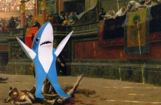 The 18 best internet reactions to Katy Perry's confused shark dancer