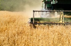 Farm deaths: "Do we ban all over-65s from the farm? Of course not"