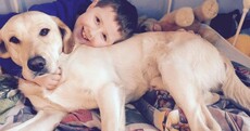 Autistic boy reunited with stolen dog after mother's viral campaign