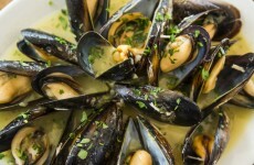 Bad news if you love mussels: 10,000 tonnes of top quality Irish shellfish is unfit to eat