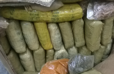 This is what €470,000 of cannabis looks like