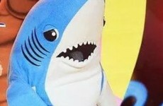 Now Katy Perry's confused shark dancer is helping to save wildlife