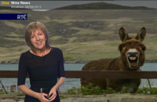 7 of the all-time best Irish TV weather moments