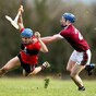 UL reach Fitzgibbon quarter-finals, NUIG stun UCC and Mary I beat champions WIT