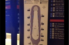 Toronto erects bus map that looks exactly like a penis, removes it immediately