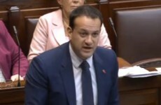 Leo: We've no mandate for abortion referendum, Mick Wallace: That's horseshit