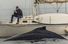 This photo of a guy missing an incredible natural spectacle is going viral