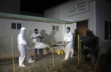 Mexican police find 60 corpses left rotting in abandoned crematorium