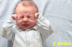 Beautiful timelapse video captures baby as he grows from newborn to toddler