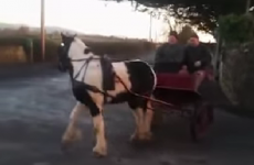 Two auld lads doing donuts, rural Irish schtyle